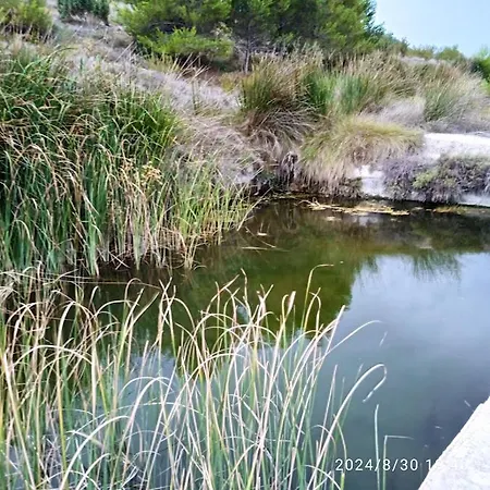 럭셔리텐트 De Madera *